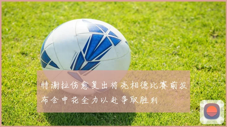 特谢拉伤愈复出将亮相德比赛前发布会申花全力以赴争取胜利