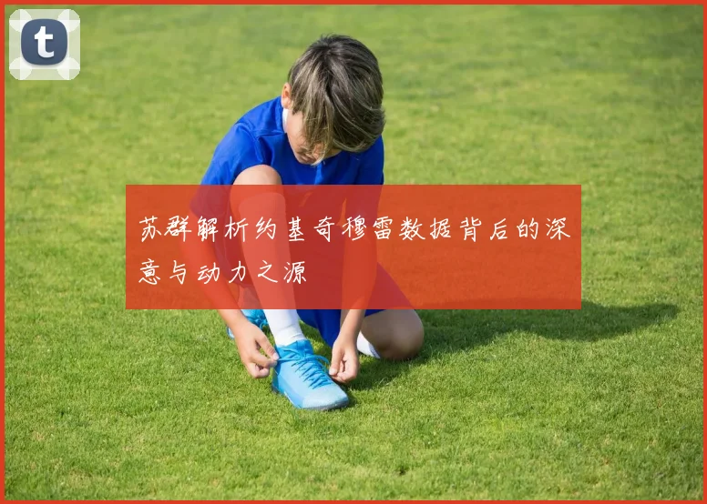 苏群解析约基奇穆雷数据背后的深意与动力之源