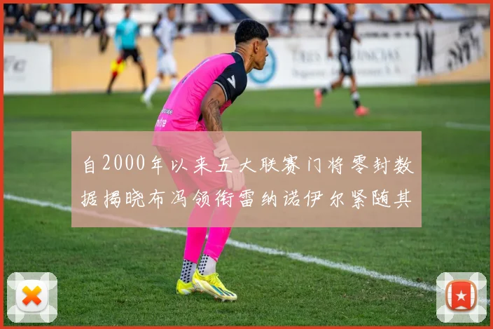 自2000年以来五大联赛门将零封数据揭晓布冯领衔雷纳诺伊尔紧随其后