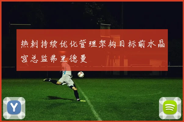 热刺持续优化管理架构目标前水晶宫总监弗里德曼